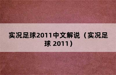 实况足球2011中文解说（实况足球 2011）